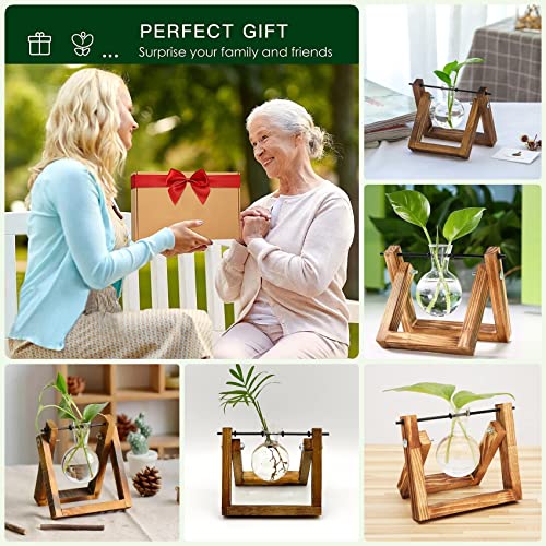 Kingbuy Plant Propagation Station Bulb Vase, 1 Bulb Vase - size: 1 Bulb Vase