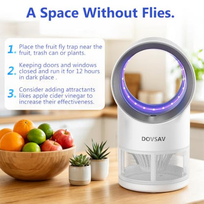 Fruit Fly Traps for Indoors, White Gnat Trap Indoor with Suction & Timer - color: White