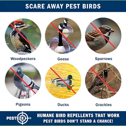 PESTEZE USA Owl Bird Deterrent Reflective Hanging Decoy Repellent with Bell, 4 Pack 3.5 x 5 in Shiny Scare Device Keep Birds Away Outdoor Porch Garden Yard Patio Protect Property