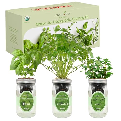 Hydroponic Herb Growing Kit Set, Self-Watering Mason Jar Herb Garden Starter Kit Indoor, Window Herbs Garden, Grow Your Own Herbs from Organic Seeds (Basil, Cilantro and Mint) - color: Basil, Cilantro & Mint