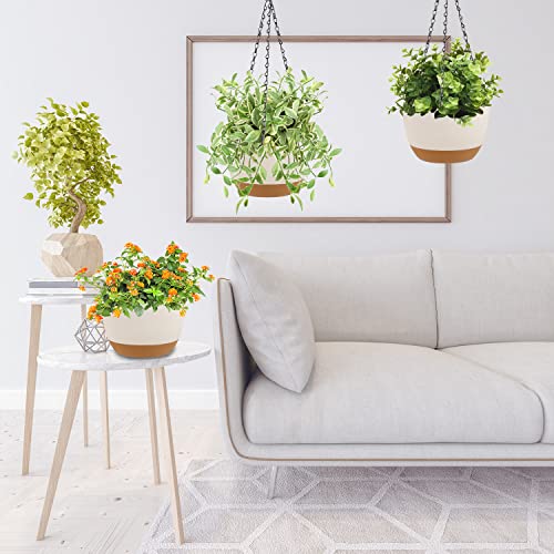 LIYDE 3 Pack Hanging Planters, 8 Inch Small Hanging Pots Self Watering Hanging Planters for Indoor Plants with Drainage Holes and Removable Tray Hanging Basket (Natural White) - color: Natural White