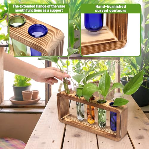 Glass Plant Propagation Station with 5 Test Tubes Colorful Planter Vase - color: Color-01