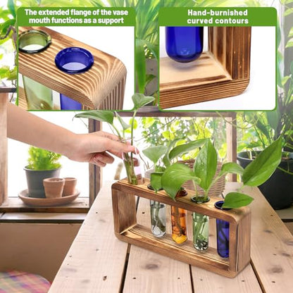 Glass Plant Propagation Station with 5 Test Tubes Colorful Planter Vase - color: Color-01