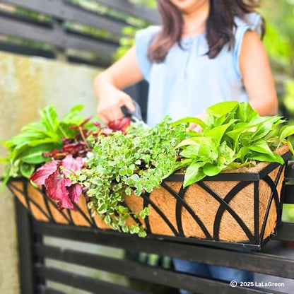 LaLaGreen Outdoor Railing Planter (24 in, 4 Pack) Black Flower Box Holder - size: 24" (60cm) x 4 pack