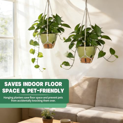 Self-Watering Hanging Planters for Indoor Plants Set 2-Piece Includes Plant Hanging Pot, Drainage-Hole Hanging Pot, and Hanging Basket Rack (10 Inches, Green) - color: Green