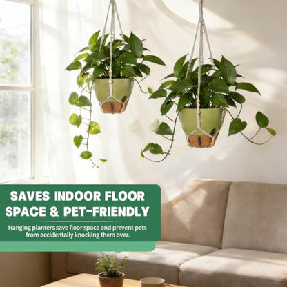 Self-Watering Hanging Planters for Indoor Plants Set 2-Piece Includes Plant Hanging Pot, Drainage-Hole Hanging Pot, and Hanging Basket Rack (10 Inches, Green) - color: Green