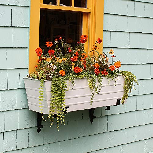 Achla Designs C-21W Window Box, Large, White - color: White, size: Large