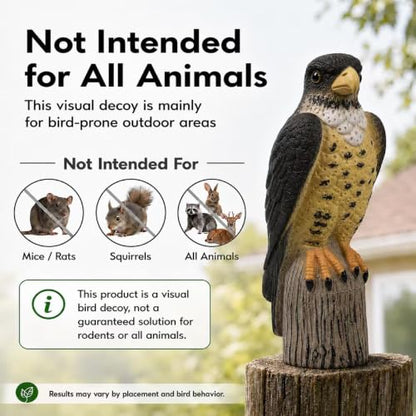 GiftExpress 13.5" Scarecrow Eagle Falcon Hawk Decoy, Pest Repellent, Bird Control, Bird Deterrent, Garden Protectors, Repeller, Eagle Garden Décor