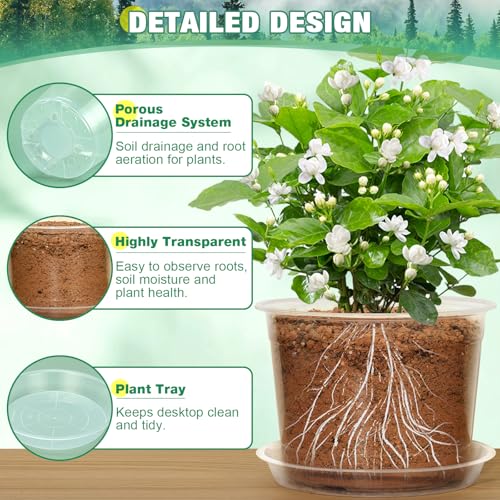 RAOOKIF 8 Inch Nursery Pots with Saucers, 6 Pack Clear Nursery Pots with Drainage Hole for Indoor Outdoor, Large Size Plastic Clear Pots for Plants for Flowers, Succulents, Vegetables - size: 8 inch-6pcs