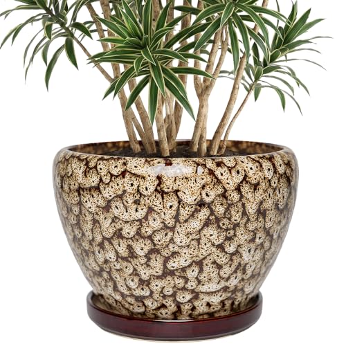10.6 Inch Ceramic Planter with Saucer (Speckled White) - color: Speckled White, size: 10.6 Inch