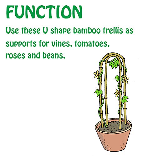 3 Feet Natural U-Hoops Bamboo, Mininfa Garden Trellis, Bamboo Trellis U-Shape for Plant Support - 3 Pack - size: 3 Feet