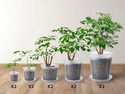Clear Nursery pots with Drainage 5/6/7/8/9 inch 10 Pack - size: 5/6/7/8/9inch with saucers