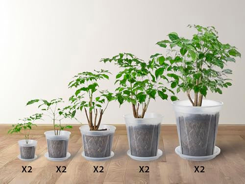Clear Nursery pots with Drainage 5/6/7/8/9 inch 10 Pack - size: 5/6/7/8/9inch with saucers