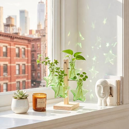 Nacome Plant Terrarium Propagation Stations: Greeen Vase with Wooden Stand - color: Green