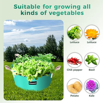 2 Pack 100 Gallon 3 Grids Plant Grow Bags for Vegetables, Flowers - size: 100 gallon