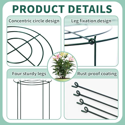 8 Sets Peony Support Cage,14"Diax32"High Heavy Duty Metal Plant Support,Grow Through Hoops Grids with 4 Thickened 5mm Legs,Strong Support Brace for Heavy Blossoms,Flower Support Ring for Peonies,Rose - size: 14"X32"-8PCS