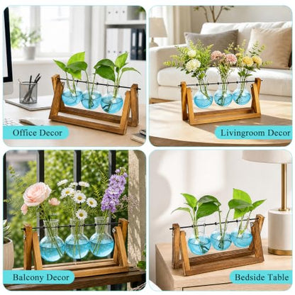 XXXFLOWER Plant Terrarium Kit with Wooden Stand 3 Gradient Blue Bulb Vases - color: Blue