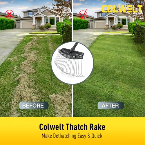 Colwelt Thatch Rake, Dethatcher Rake with Thin, Curved Spring Steel Tines, Dethatching Thatching Rake for Lawns with 61’’ Steel Handle, Lawn Tine Rakes for Pine Needles, Dead Grass, Garden Debris