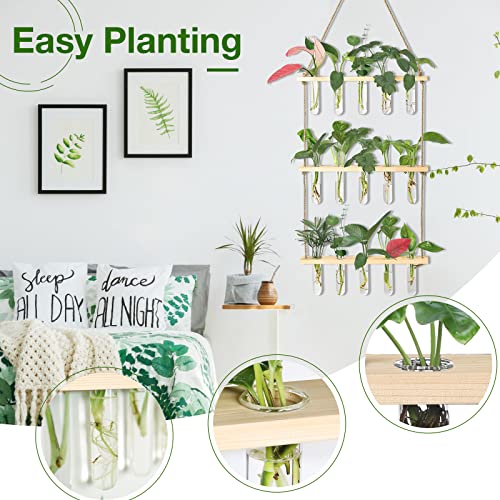 XXXFLOWER Wall Hanging Propagation Station with Wooden Stand 15 Tubes - color: Beige, size: 15 Tube Vases