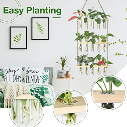 XXXFLOWER Wall Hanging Propagation Station with Wooden Stand 15 Tubes - color: Beige, size: 15 Tube Vases
