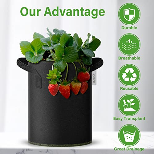 iPower 3-Gallon 10-Pack Grow Bag Thickened Nonwoven Fabric Pots Heavy Duty Aeration Container with Strap Handles for Garden and Planting Vegetable Flowers, Black with Green Stitch Sewing - color: Green, size: 3 Gallon