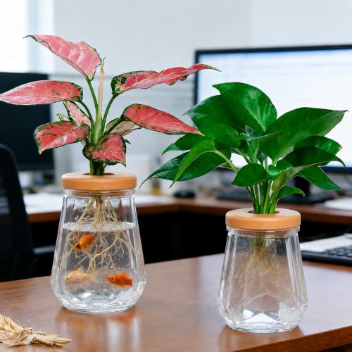 Desktop Plant Hydroponic Vases, Water Plant Jars, Gardening Gifts for Office and Home, Outdoor, Transparent Diamond Pattern - color: Transparent Diamond Pattern