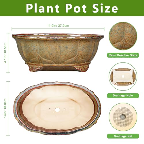 Ceramic Bonsai Pots - 11 Inch Succulent Planters for Indoor Outdoor Plants, Bonsai Tree Pots with Drainage Hole, Shallow Succulent Plant Pot, Room Decor, Plant Lover Gift, Oval Yellowish Brown - color: Oval Yellowish Brown, size: 11 Inch
