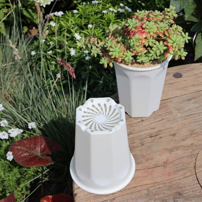 8 Pack 6.10 Inch White Plastic Deep Nursery Pot and Seedling Planter for Succulent, Cutting, Transplanting - color: White, size: 6.10 inch