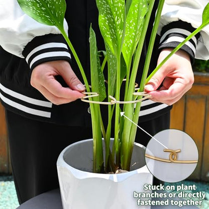 5PCS Monstera Stem Support Stake with Clip-5.5*4.7IN Stem Holder - size: 5.5 x 4.7 inches