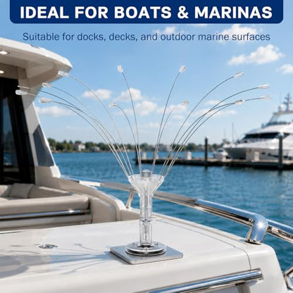 Buzzlett 2 Ft Bird Deterrent for Boats with PVC Base - size: 2 Feet