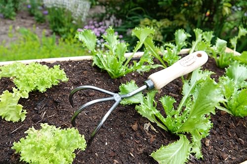 Dewit Cultivator Hand Tiller - 3-Tine, Short Handle, Works as Hoe - 11.5 in - Steel/Wood - size: 3-Tine, style: Short Handle