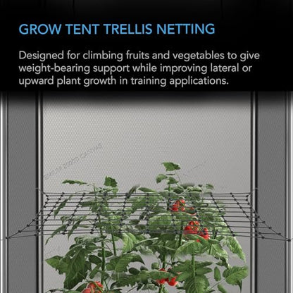 AC Infinity Elastic Trellis Netting for 2x2 Grow Tents - size: 2x2'