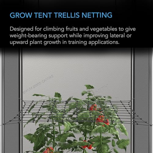 AC Infinity Elastic Trellis Netting for 5x5 Grow Tents - size: 5x5'