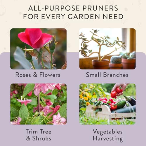 Modern Sprout Bypass Hand Pruners - Scissors - Gardening Tools - Lavender - color: Lavender