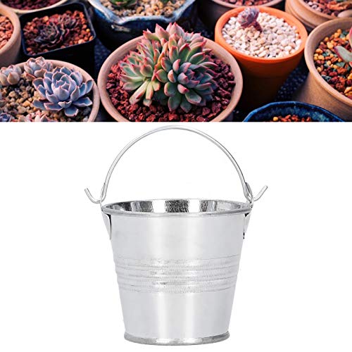 Small Flower Pots, Elegant Warm Colors Rustproof Iron Mini, Mini Planters, 4x5.5x6cm Compact Size Iron Material, for Indoor Outdoor Balcony Windowsill Desk Decor, Home Gardeners, O - color: Bright Silver, size: 4*5.5*6