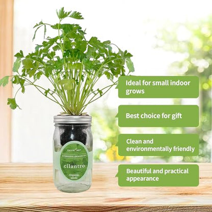 Hydroponic Herb Growing Kit, Self-Watering Mason Jar Window Herb Garden Starter Kit Indoor, Grow Your Own Herbs from Organic Seeds (Cilantro) - color: Cilantro