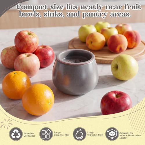 1 Pack Ceramic Fruit Fly Traps Reusable, Reactive Glaze, Light Blue Gray - color: Light Blue Gray, size: Reactive Glaze