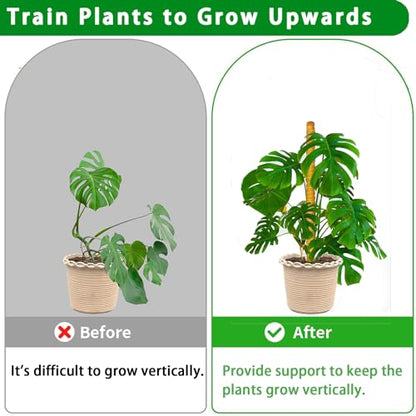 Moss Pole, 2 Pack 17 Inch Monstera Plant Support for Climbing Plants Accessories Indoor, Stackable Moss Poles Plant Support Stakes, Coir Plant Pole Sticks for Potted Plants, Pothos, Philodendron - size: 2pcs x 17 Inches
