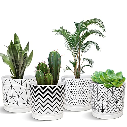 Plant Pots,5.5 Inch White Pots for Indoor Plant with Drainage Hole Set of 4 - color: White