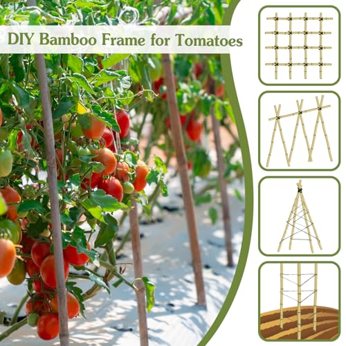 Plant Stakes 4.8FT, Natural Bamboo Stakes,20Pcs Sturdy Bamboo Garden Stakes - size: 57.6 inches, 20 pack
