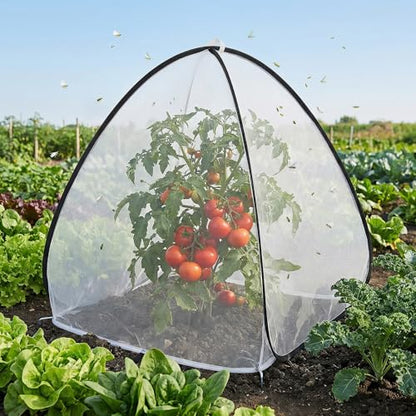 2Pcs Pop Up Insect Barrier Plant Cover Tent,Plant Protectors Mesh Enclosure - color: 30 X 28 X 28 Inch
