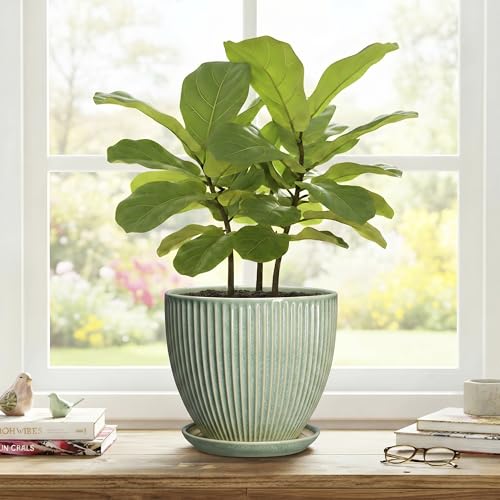8 Inch Planter, Ceramic Plant Pots with Saucer, Green - color: Green, size: 8 Inch