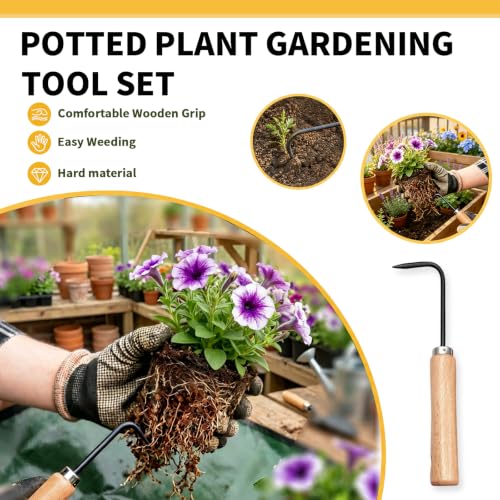 Bonsai Tools, Bonsai Root Rake, Small Root Hook,Rake Pic for Soil Loosening - size: 4 Pack
