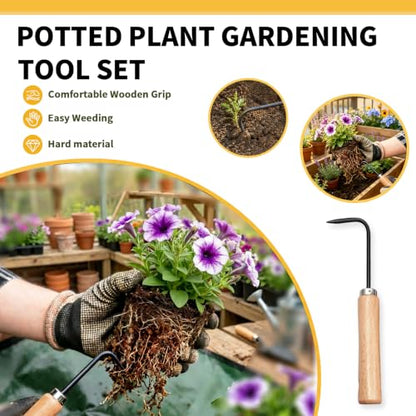 Bonsai Tools, Bonsai Root Rake, Small Root Hook,Rake Pic for Soil Loosening - size: 4 Pack