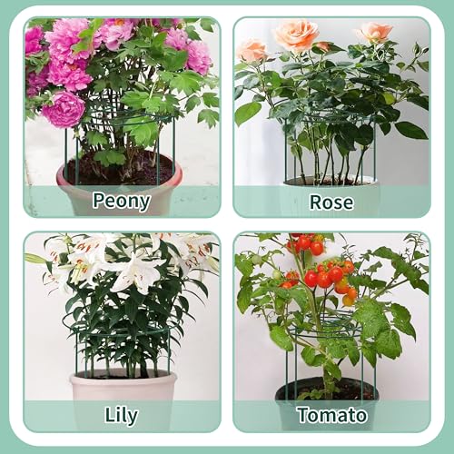 8 Sets Peony Support Cage,Heavy Duty Metal Plant Support Rings with 3.5mm Thickened Legs,10"Dia.x16"High Grow Through Hoops for Peonies and Tall Plants,Rust-Resistant Strong Support for Heavy Blossoms - size: 10"X16"-8PCS
