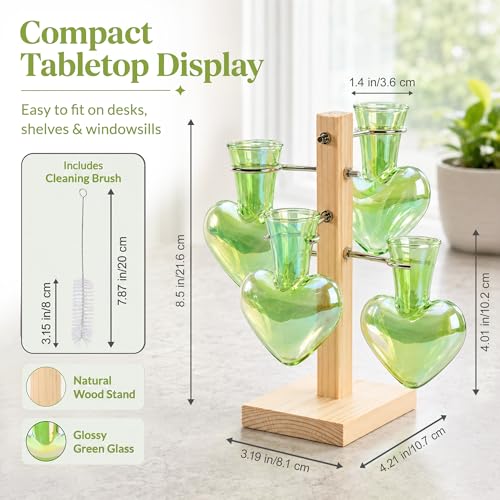 Nacome Plant Terrarium Propagation Stations: Green Vase with Wooden Stand - color: Green