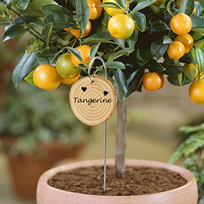 Temlum Wooden Plant Labels for Indoor & Outdoor Plants, 25pcs - color: Wood 25pcs