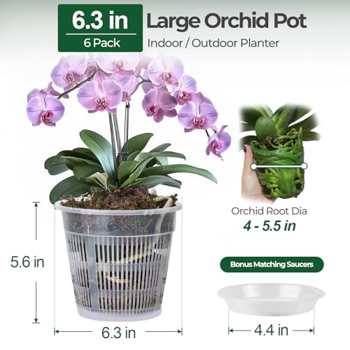 T4U Clear Orchid Pots 6.3 Inch 6 Pack, Orchid Pot with Holes Repotting - size: 6.3 Inch, 6 Pack