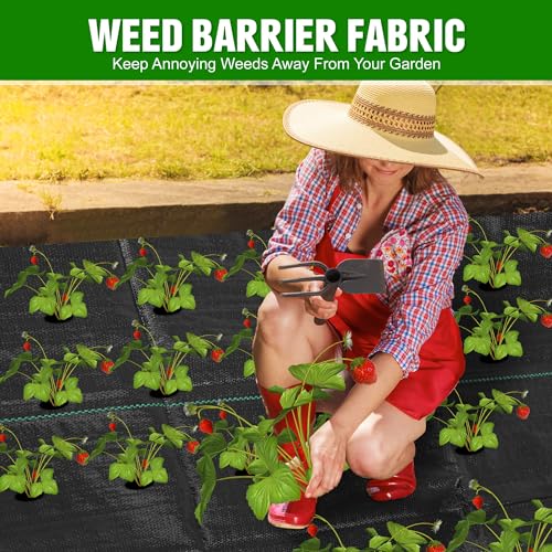 2FT x 100FT Weed Barrier Landscape Fabric Heavy Duty, 3.2oz Premium Gardening Weed Control Mat with 10 U-Shaped Securing Pegs, Ground Cover for Garden Beds, Farming, Underlayment, Commercial Driveway - size: 3.2OZ-2X100FT