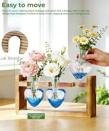 Nacome Plant Terrarium with Wooden Stand, 3 Heart Bulb Glass Vases - color: Iridescent Clear